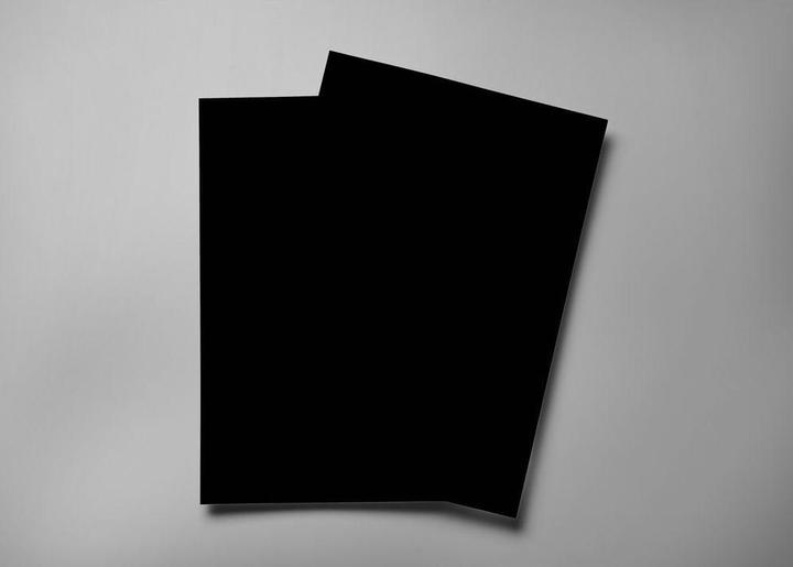 Produktbild Ursus Einlagekarton (25x)