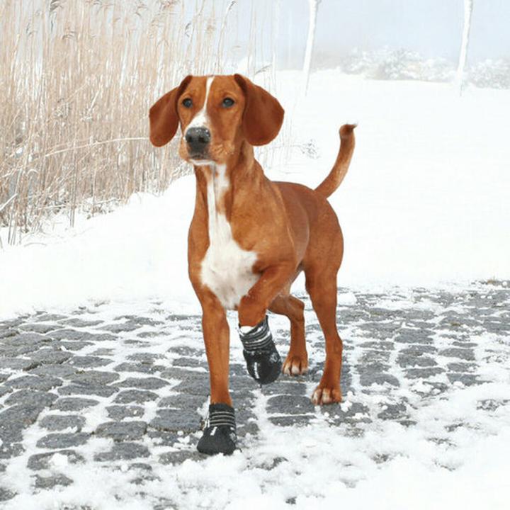 Produktbild Trixie Pfotenschutz Walker Active (M, L, Hundeschuhe)