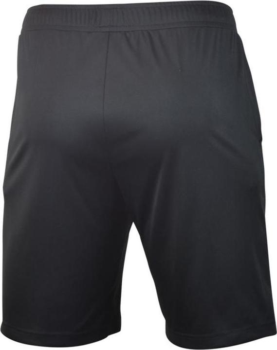 Image du produit Mizuno Short Nara Trainng (L)
