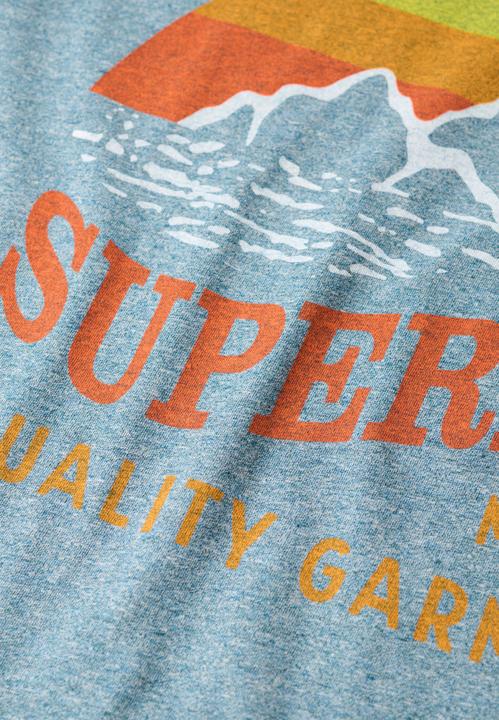 Actual product image Superdry Cl Great Outdoors Relaxed Tee (M)