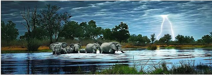 Productafbeelding Heye Kudde olifanten (2000 onderdelen)