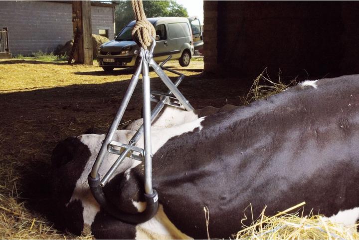 Actual product image Kamer Large cattle elevator