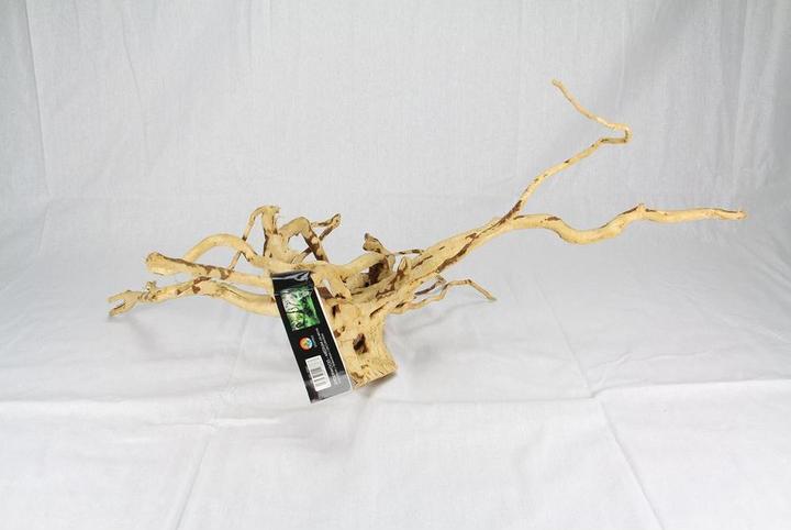 Actual product image Amazonas World Finger root (1 pc) (Basics, Basics)