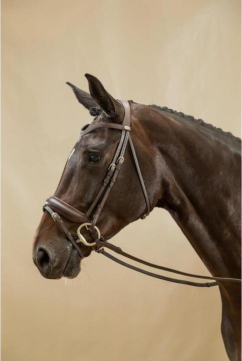 Produktbild Dy'on Trense breit