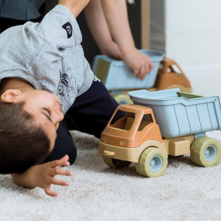 Productafbeelding dantoy Biologische vrachtwagen