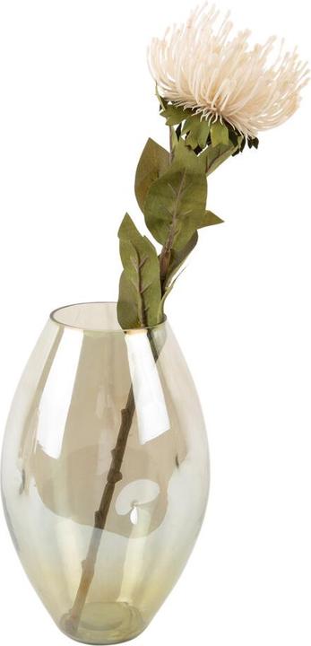 Actual product image present time Luster Organic (1 x, 10.20 l)
