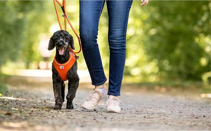 Immagine prodotto Curli Basic sele Air-Mesh sort M (M, Cane, Generale)