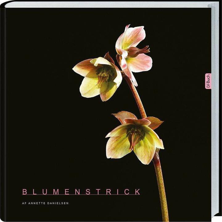 Produktbild Blumenstrick (Deutsch, Annette Danielsen, 2017)