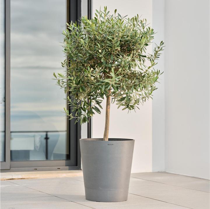 Actual product image Boum Topf 30L Pro (40 cm)