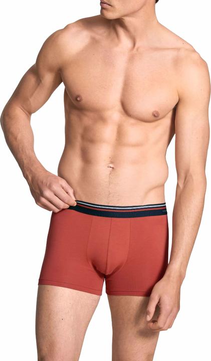 Immagine prodotto Calida Cotton Code (S)