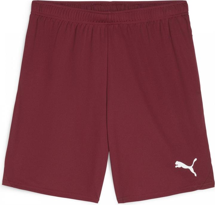 Actual product image Puma teamGOAL shorts (M)