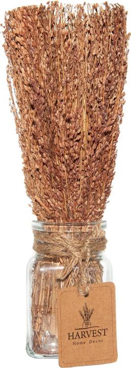 Immagine prodotto Casativo Erba decorativa