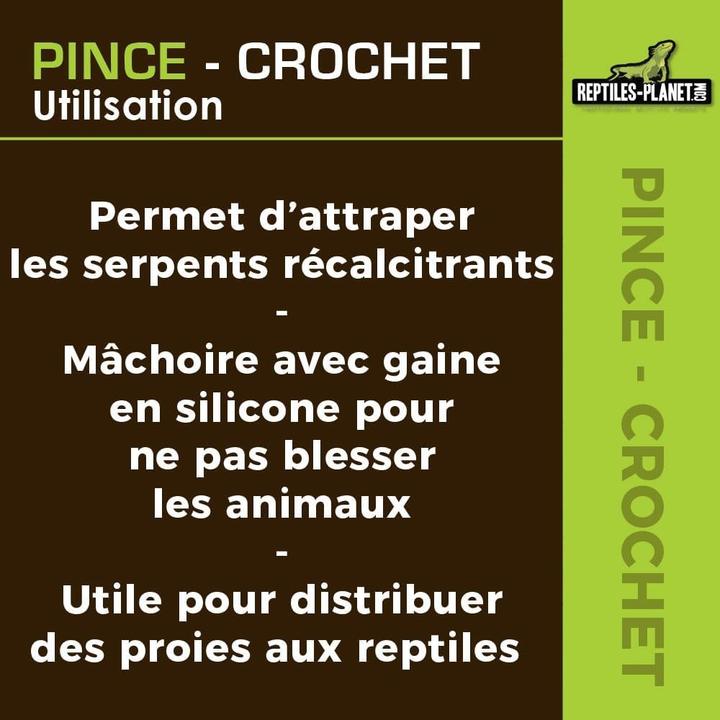 Produktbild Reptiles-Planet Protect