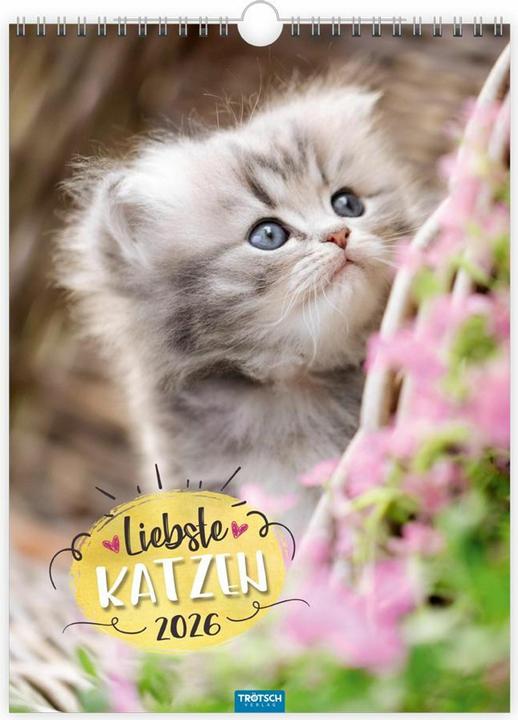 Produktbild Trtsch Classickalender Liebste Katzen 2026 (24 x 33 cm)