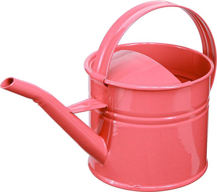 Produktbild Viana Dekorative giesskanne als Blumentopf für Zimmerpflanzen oder Trockenblumen (1.25 l)