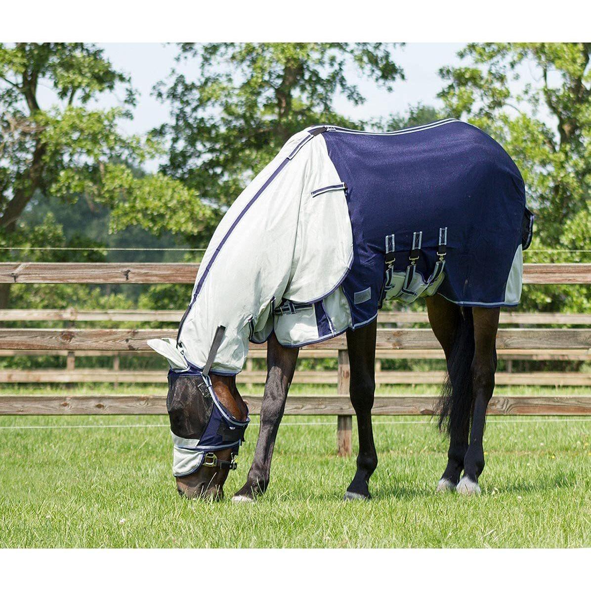 Thumbnail - Qhp, Pferdedecke, (225 cm)