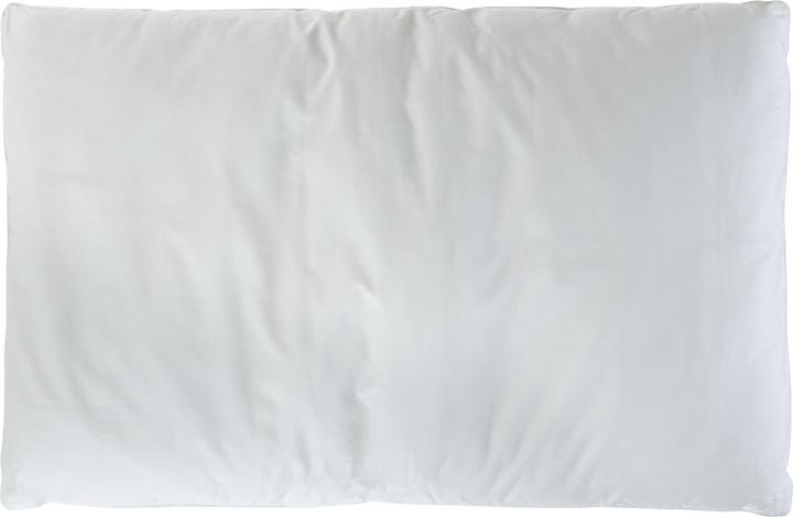 Image du produit Cocon Oreiller classique (65 x 100 cm)