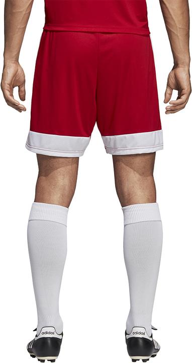 Actual product image Adidas Tastigo 19 Shorts (M)