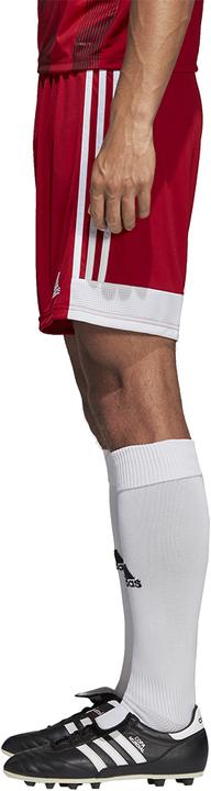 Actual product image Adidas Tastigo 19 Shorts (M)