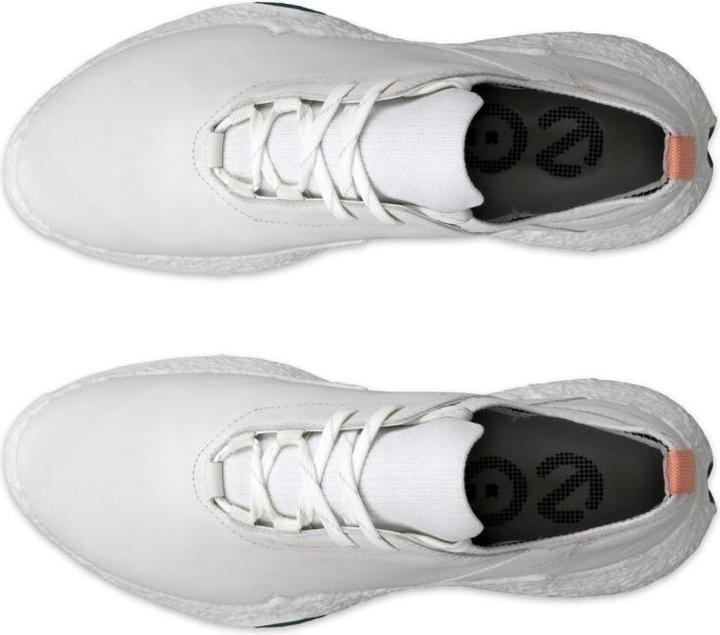 Actual product image Ecco Biom H5 Golfschuh Damen (38)