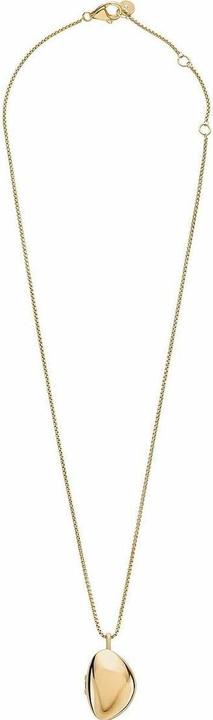 Image du produit Skagen Collier Kariana (Acier inoxydable, 40 cm)