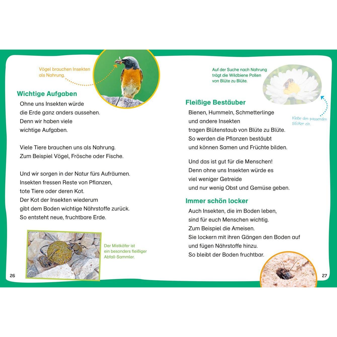 Thumbnail - WAS IST WAS Erstes Lesen. Leserätsel Insekten, Kinderbücher von Christina Braun