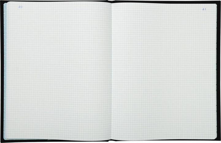 Image du produit Exacompta Livres de comptes (320 x 250 mm, Quadrillé)