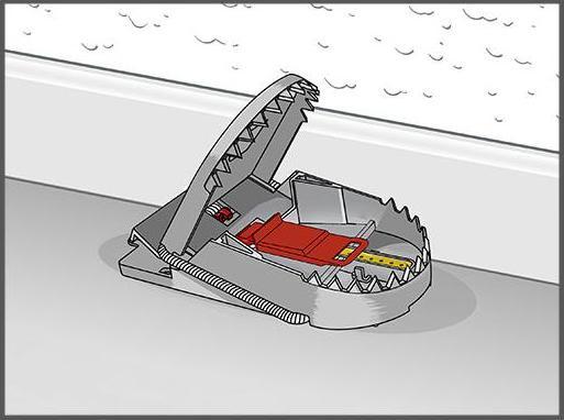 Actual product image Super Cat Rattenfalle PRO SuperCat 1er