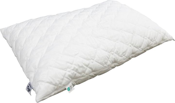 Irisette Kissen «Bamboo»