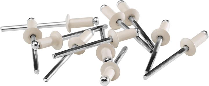 Actual product image Rapid Cream white blind rivets Ø 4.8 x 12 mm