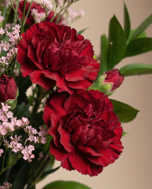 Image du produit feey Amore Deluxe (Fleurs coupées, 20x)