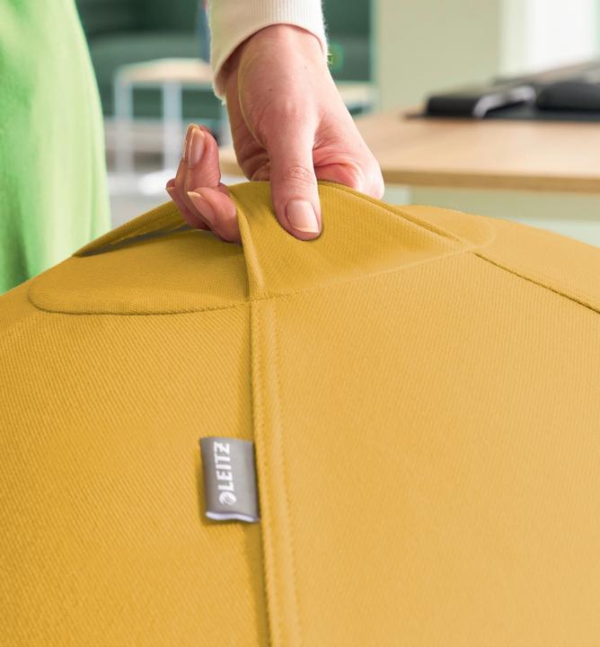 Image du produit Leitz Ballon-siège Ergo Cosy Active (65 cm)