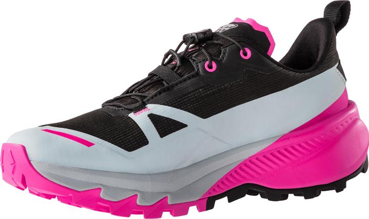 Produktbild Dynafit Traverse 2 Gtx W (41)