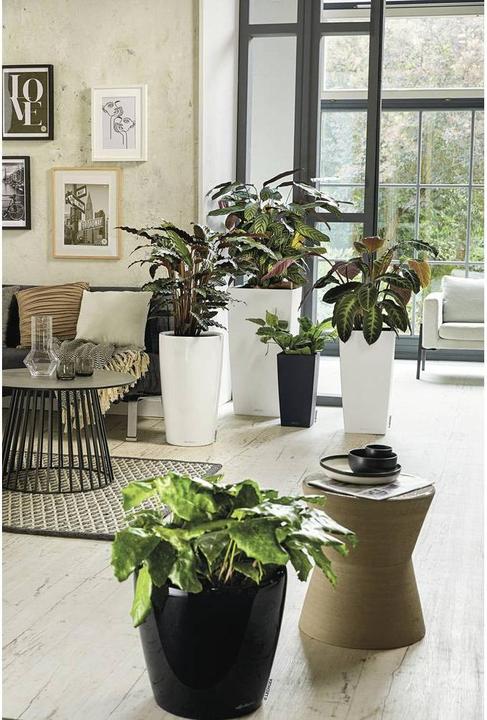 Produktbild Lechuza Cubico Color (29.50 cm)