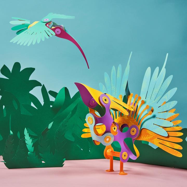 Image du produit Clixo Tropical Birds