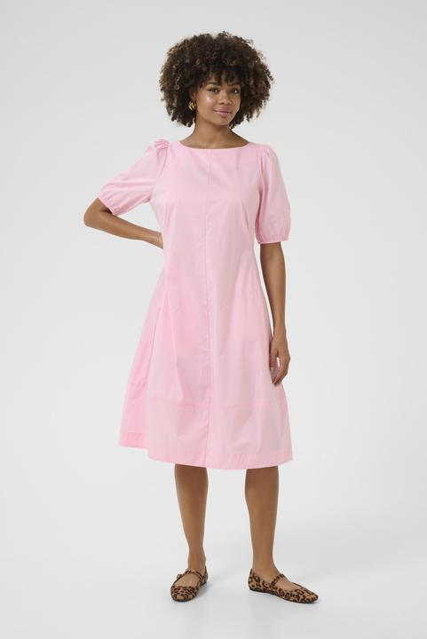 Image du produit Culture Antoinet (M)