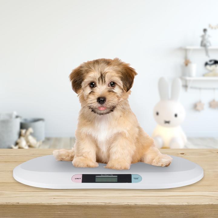Actual product image Little Choice Digital Baby Scales (20 kg)