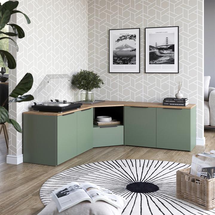 Immagine prodotto Vicco Wohnwand Wido, Grün/Sonoma, 3 Teile (80 x 50 x 40 cm)