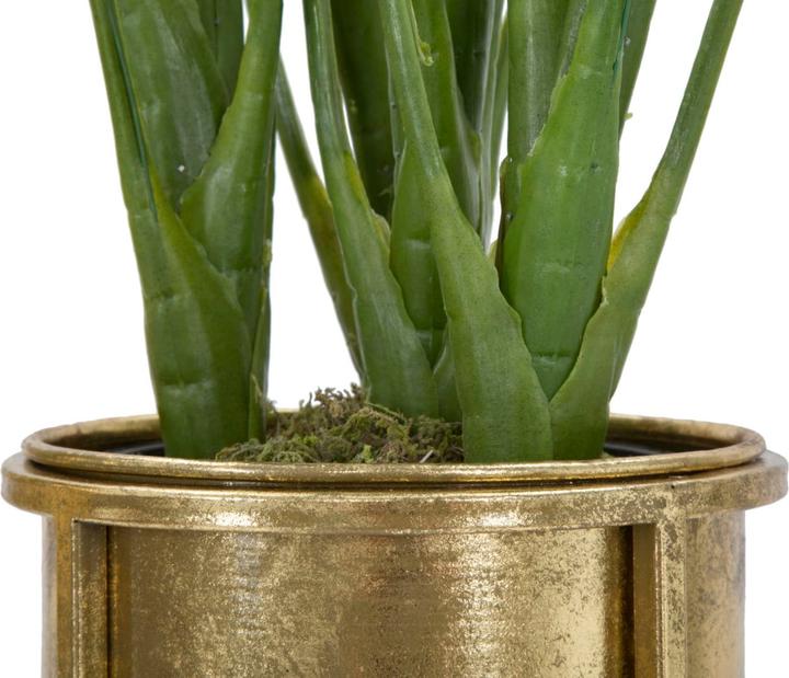 Image du produit Mauro Ferretti Support pour plantes Glam (set de 2)
