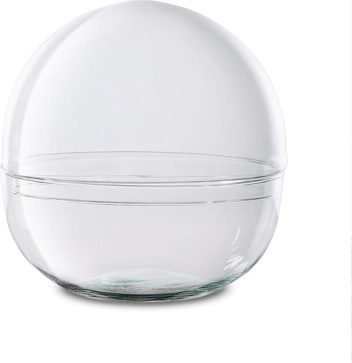 Immagine prodotto Green Bubble Bicchiere vuoto: Biosfera 3