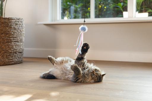 Produktbild Beeztees Katzenangel Ball mit Bändern