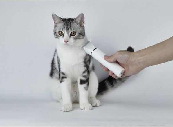 Produktbild Petkit 2 in 1 Pet Trimmer Pro (Hund)