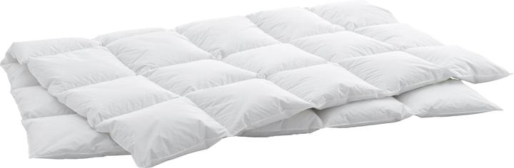 Actual product image Swiss Dream by billerbeck Cassette Cosy (850 g, 160 x 210 cm)