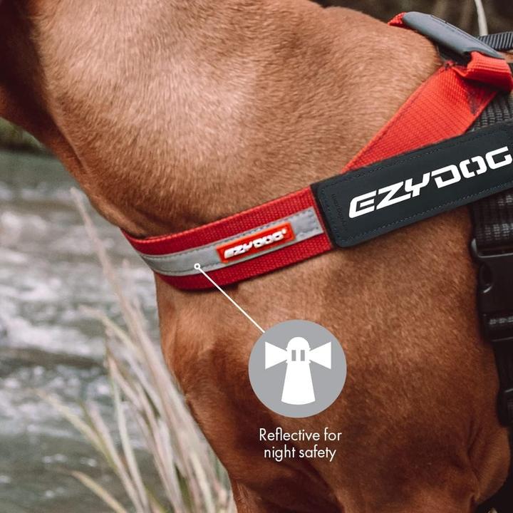 Actual product image EzyDog Express Harness (M, Dog)