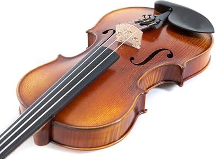 Produktbild Gewa Maestro 2 Vioolset mit Koffer, Carbonbogen und Larsensnaren (Geige)