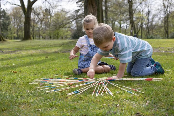 Actual product image Eichhorn Outdoor Mikado XL (English, French, German, Italian, 2 - 4 Players)