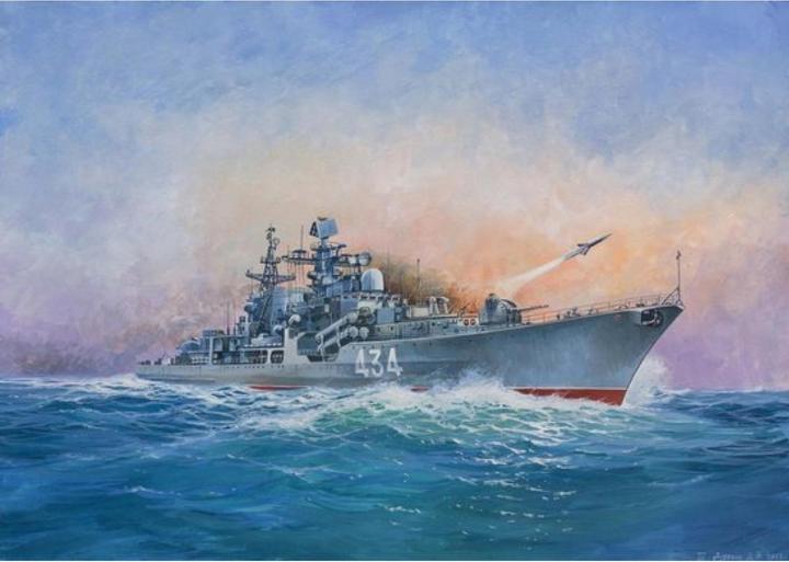 Actual product image Tamiya 1:700 Russian destroyer Sovremenny