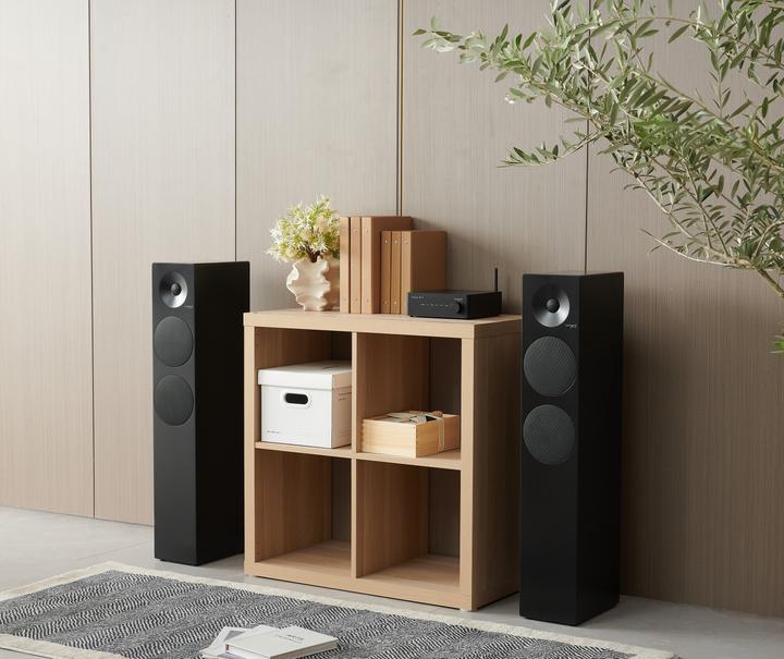 Image du produit Tangent Spectrum II X6 Floor Speaker Pair, black (100 W)