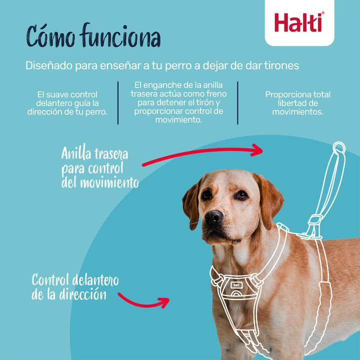 Actual product image Halti No Pull Harness Forest Green Small (Dog, General, Walks)