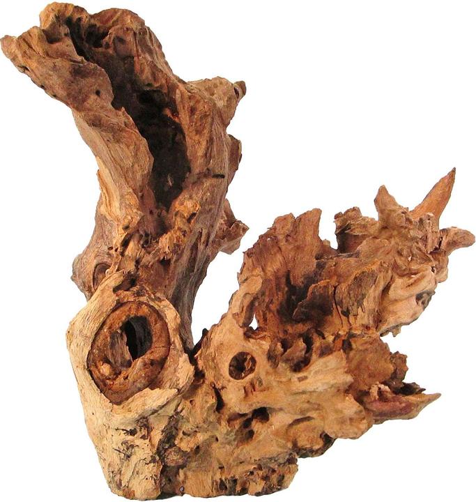 Actual product image Orbit Barico root, large, 35-50cm (Basics, other items)